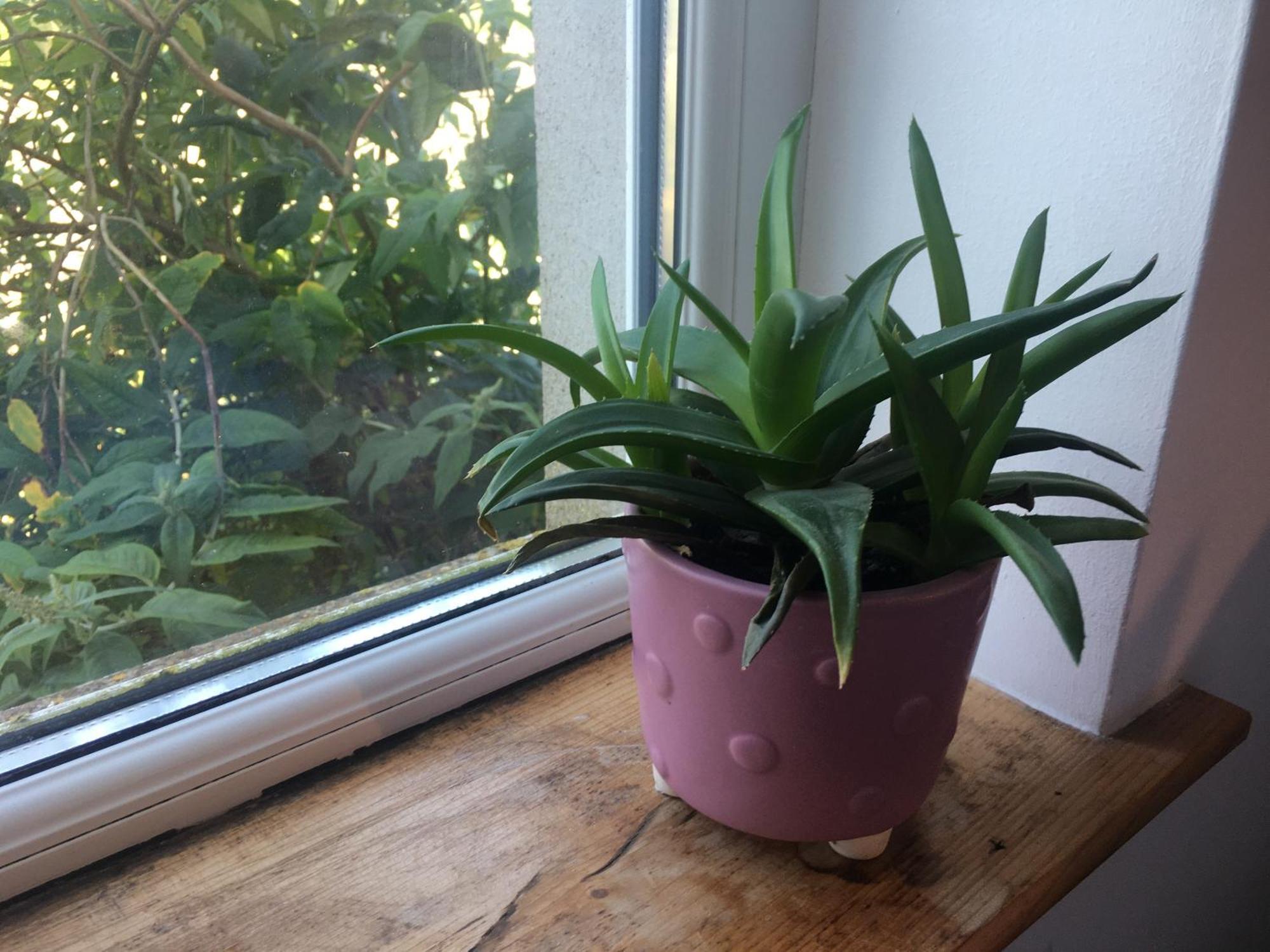 דירות Killyleagh Driftwood Loft מראה חיצוני תמונה